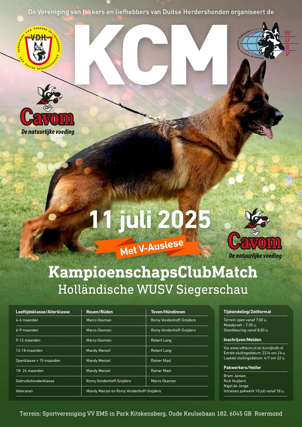 flyer