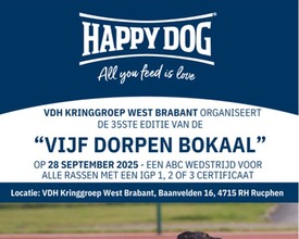 5 Dorpen Bokaal