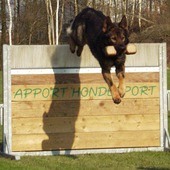 IGP schutting