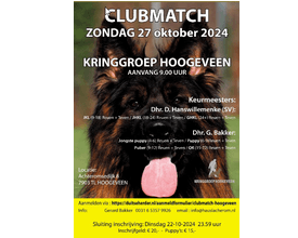 CLubmatch Hoogeveen