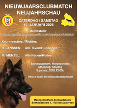 Nieuwjaars Clubmatch